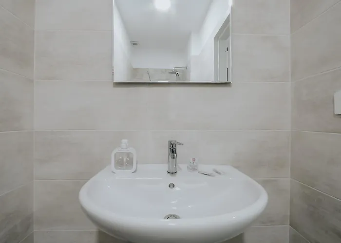 Noah&chris ביטריטו